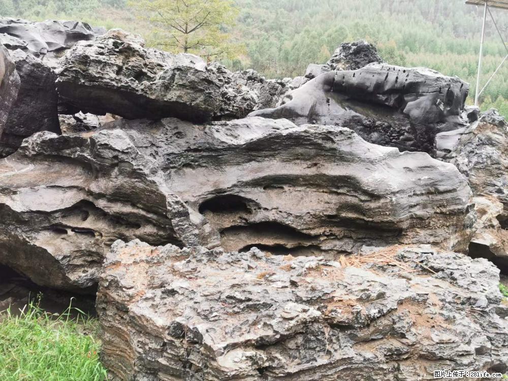 风景石、假山石大量有货，有需要的欢迎联系 - 新手上路 - 铁岭生活社区 - 铁岭28生活网 tl.28life.net