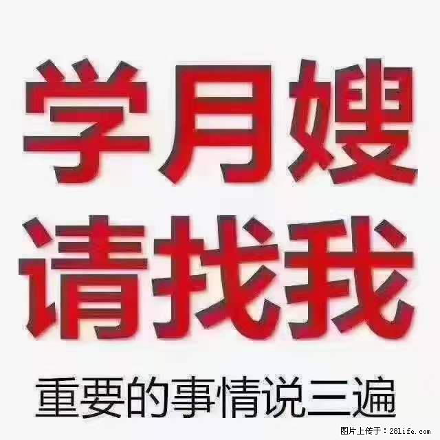 为什么要学习月嫂，育婴师？ - 其他广告 - 广告专区 - 铁岭分类信息 - 铁岭28生活网 tl.28life.net
