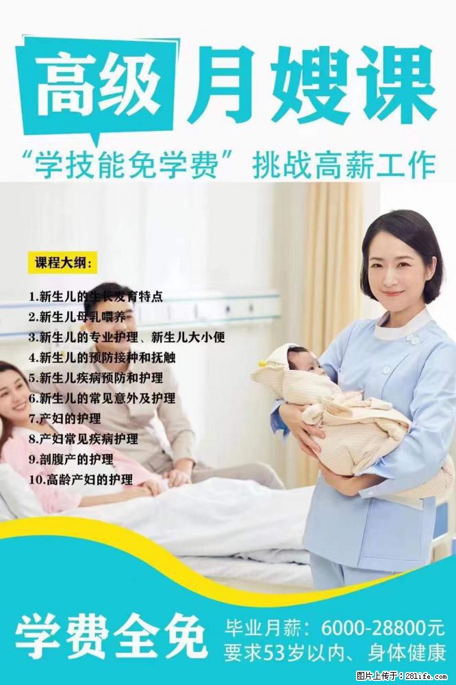 为什么要学习月嫂，育婴师？ - 其他广告 - 广告专区 - 铁岭分类信息 - 铁岭28生活网 tl.28life.net