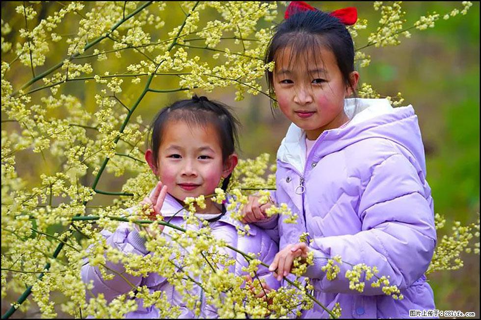 【春天，广西桂林灌阳县向您发出邀请！】米珠山前有片山苍子花在飘香 - 游山玩水 - 铁岭生活社区 - 铁岭28生活网 tl.28life.net