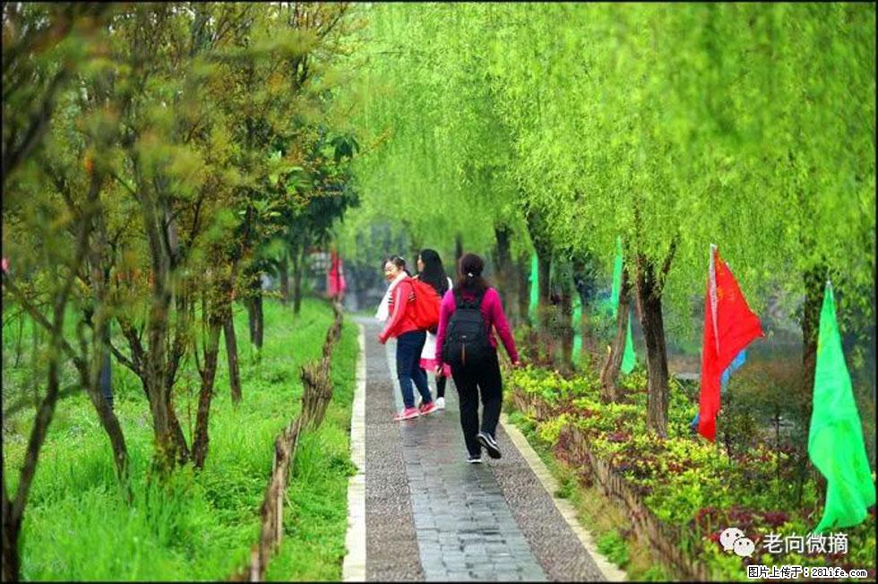 【春天，广西桂林灌阳县向您发出邀请！】江口老街又逢春 - 游山玩水 - 铁岭生活社区 - 铁岭28生活网 tl.28life.net