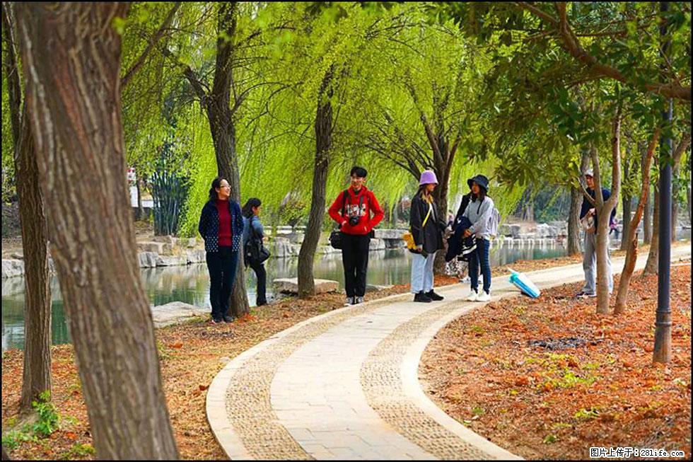 【春天，广西桂林灌阳县向您发出邀请！】江口老街又逢春 - 游山玩水 - 铁岭生活社区 - 铁岭28生活网 tl.28life.net