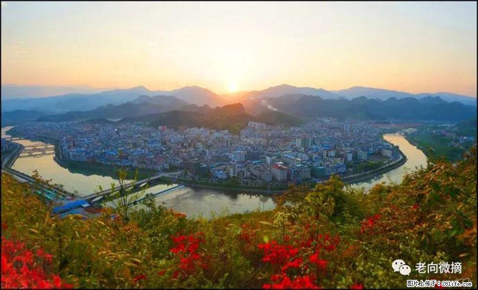 【春天,广西桂林灌阳县向您发出邀请!】登麒麟山,相约映山红 - 游山玩水 - 铁岭生活社区 - 铁岭28生活网 tl.28life.net