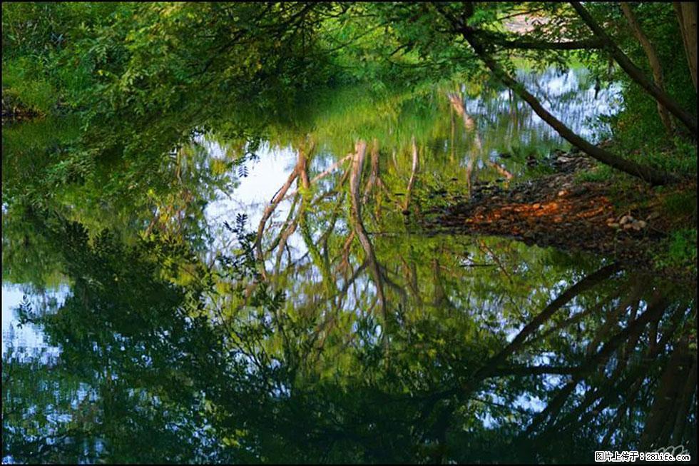 【春天，广西桂林灌阳县向您发出邀请！】熊家寨湿地公园 - 游山玩水 - 铁岭生活社区 - 铁岭28生活网 tl.28life.net