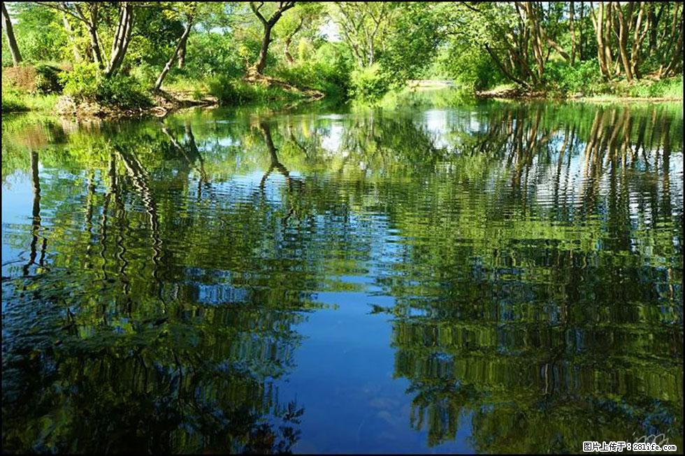【春天，广西桂林灌阳县向您发出邀请！】熊家寨湿地公园 - 游山玩水 - 铁岭生活社区 - 铁岭28生活网 tl.28life.net