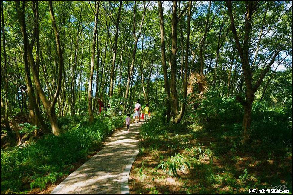 【春天，广西桂林灌阳县向您发出邀请！】熊家寨湿地公园 - 游山玩水 - 铁岭生活社区 - 铁岭28生活网 tl.28life.net