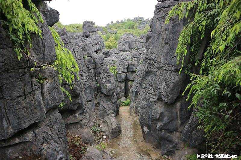 桂林旅游名城景点：灌阳文市石林 - 游山玩水 - 铁岭生活社区 - 铁岭28生活网 tl.28life.net
