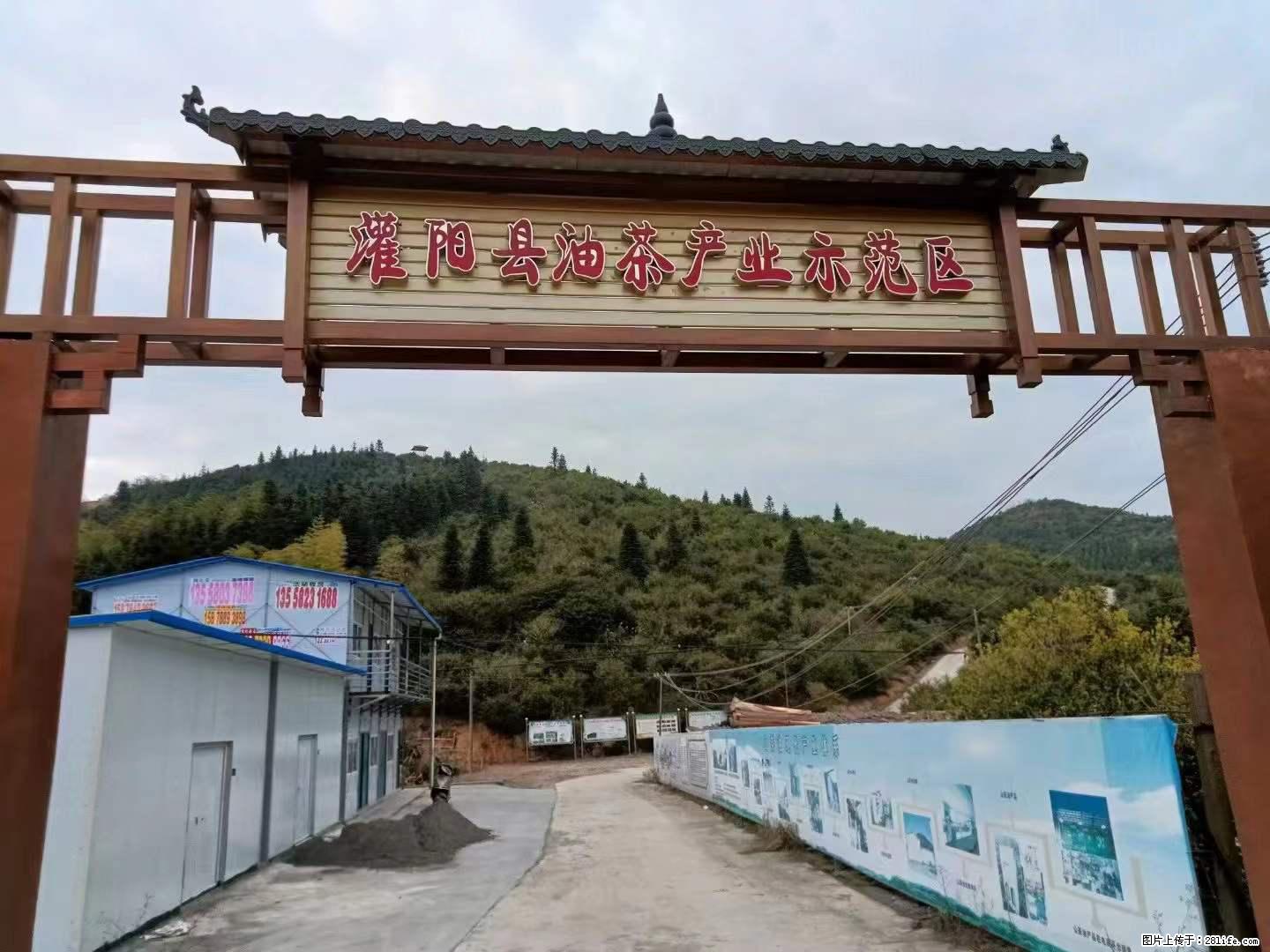 【灌阳县油茶产业示范区】一个有着充实的精神生活的人，对待身外之物自会有一种淡泊的态度 - 土特产 - 饮食特产 - 铁岭分类信息 - 铁岭28生活网 tl.28life.net