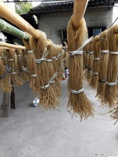 【灌阳正宗红薯粉】美女家里自己做的，干净卫生，假一赔十，价格合理，抢购电话：13737312895 - 铁岭28生活网 tl.28life.net