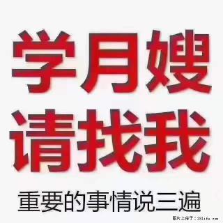 为什么要学习月嫂，育婴师？ - 铁岭28生活网 tl.28life.net