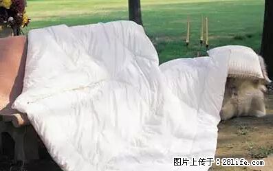 被子有异味？只要这样做，比晒太阳还强100倍！ - 家居生活 - 铁岭生活社区 - 铁岭28生活网 tl.28life.net