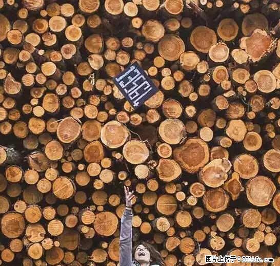 辞掉工作周游世界？现在他们在洗厕所…… - 游山玩水 - 铁岭生活社区 - 铁岭28生活网 tl.28life.net
