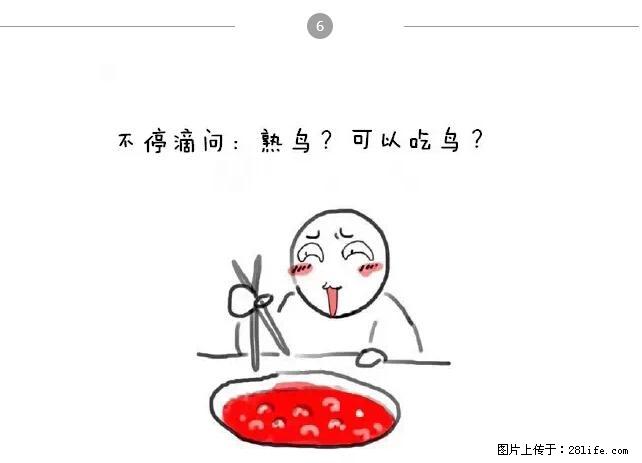 千万不要和这9种哈卵一起吃火锅! - 美食天地 - 铁岭生活社区 - 铁岭28生活网 tl.28life.net
