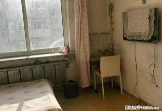 铁西 阳光园一区 5楼 1室1厅 有网 可季度租 - 铁岭28生活网 tl.28life.net