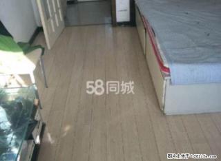 有网城南 哥伦布附近 两室 3500七个多月 拎包即住 - 铁岭28生活网 tl.28life.net