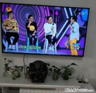 金湾上城 家电齐全 包取暖包物业宽带 拎包即住 - 铁岭28生活网 tl.28life.net