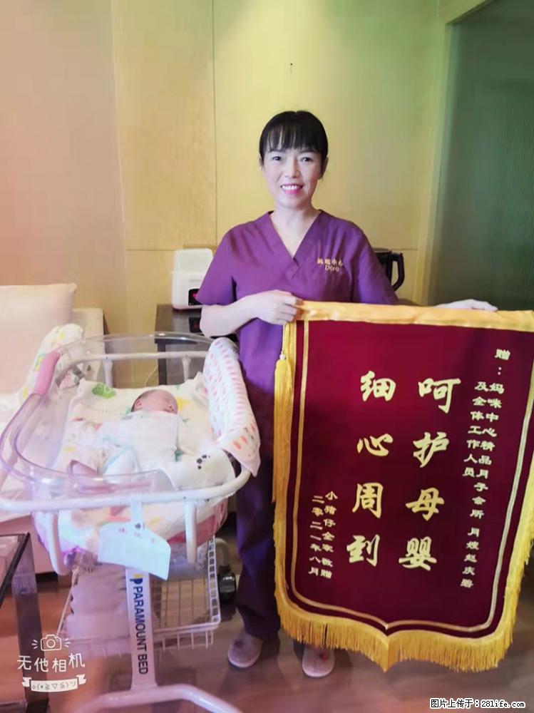 上海高端月子会所招新手月嫂，零基础带教，包吃住 - 职场交流 - 铁岭生活社区 - 铁岭28生活网 tl.28life.net