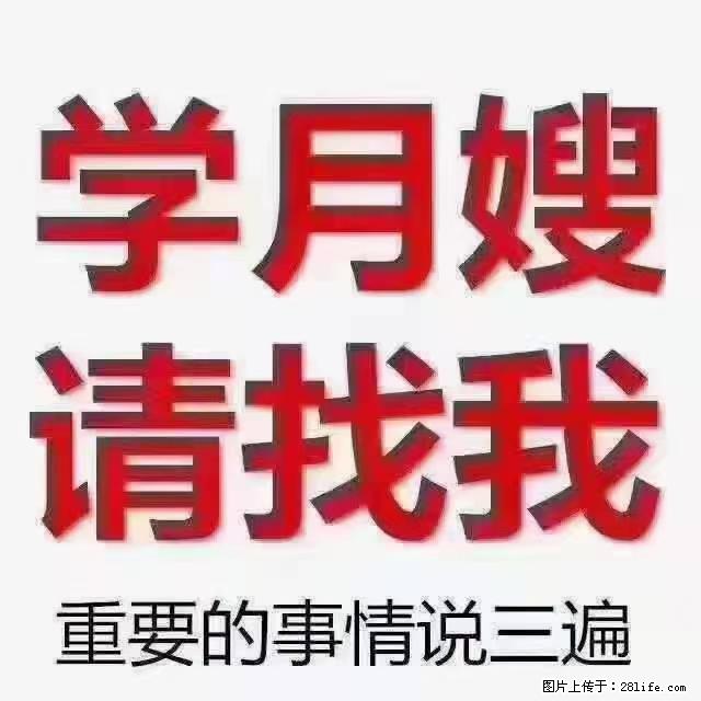 【招聘】月嫂，上海徐汇区 - 职场交流 - 铁岭生活社区 - 铁岭28生活网 tl.28life.net