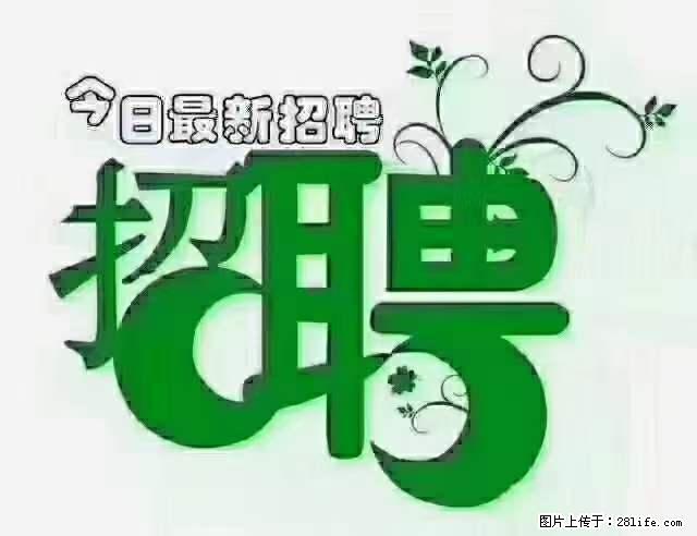 上海青浦区招仓管 - 职场交流 - 铁岭生活社区 - 铁岭28生活网 tl.28life.net