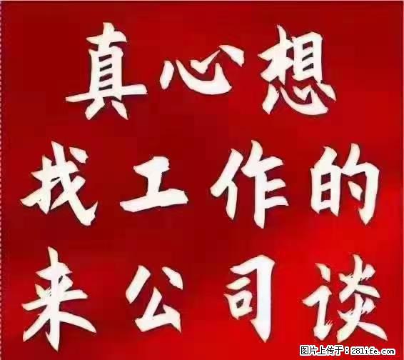 【上海】国企，医院招两名男保安，55岁以下，身高1.7米以上，无犯罪记录不良嗜好 - 职场交流 - 铁岭生活社区 - 铁岭28生活网 tl.28life.net