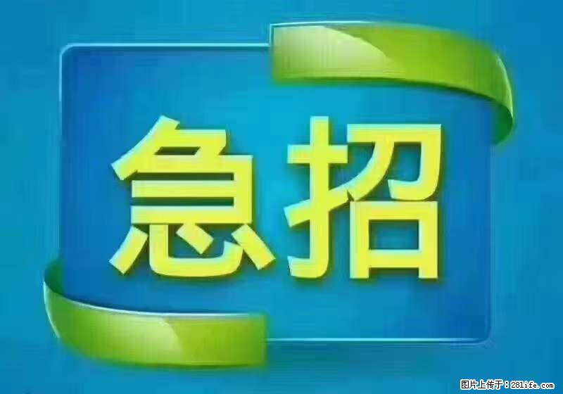 招出纳8000元/月，无证可以，要有相关经验，上海五险一金，包住，包工作餐，做六休一。 - 职场交流 - 铁岭生活社区 - 铁岭28生活网 tl.28life.net