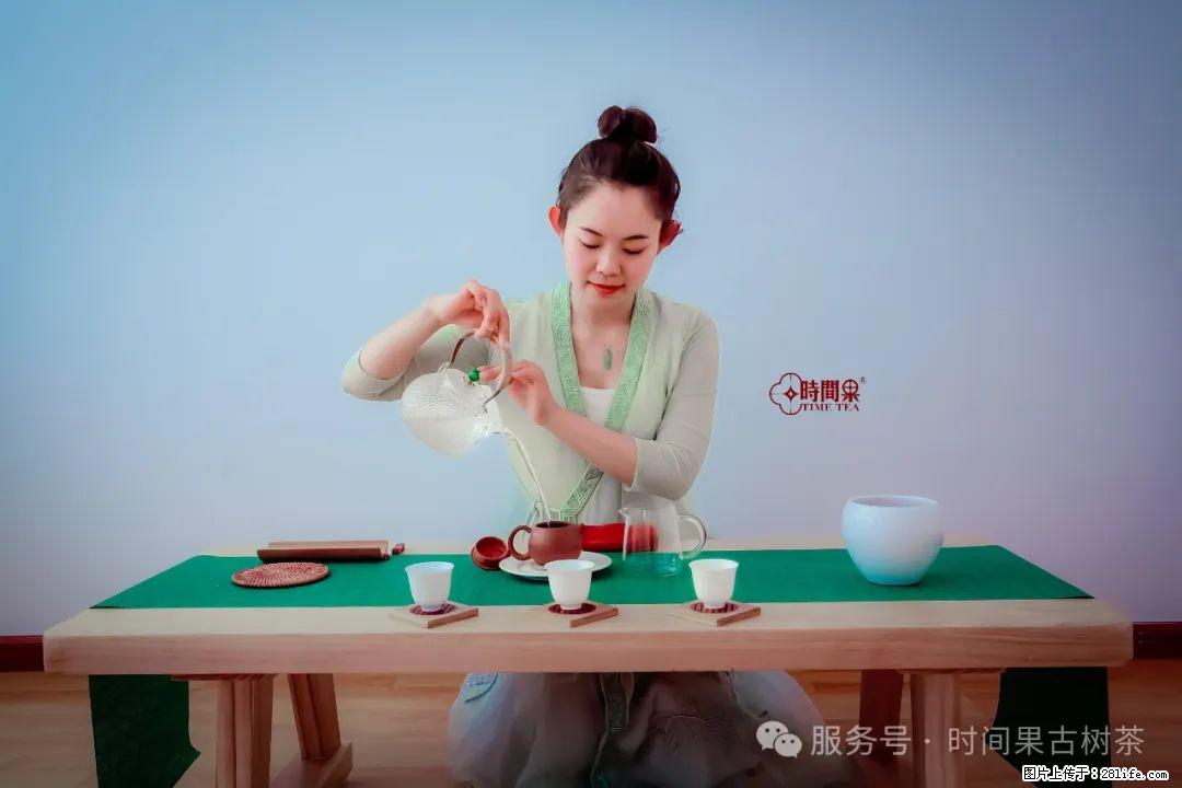 时间果百年古树龙珠普洱生茶 - 购物交流 - 铁岭生活社区 - 铁岭28生活网 tl.28life.net