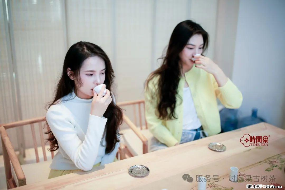 时间果百年古树龙珠普洱生茶 - 购物交流 - 铁岭生活社区 - 铁岭28生活网 tl.28life.net