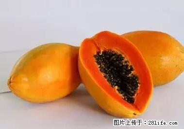 晕车、脚气、牙齿变黄、皮肤粗糙？学会这些三分钟搞定！ - 铁岭生活资讯 - 铁岭28生活网 tl.28life.net
