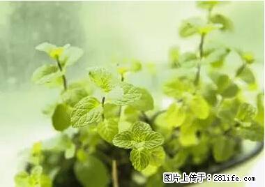 晕车、脚气、牙齿变黄、皮肤粗糙？学会这些三分钟搞定！ - 铁岭生活资讯 - 铁岭28生活网 tl.28life.net