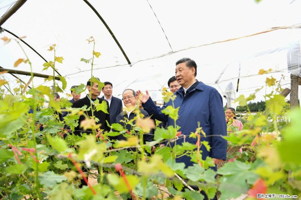 习近平赴广西考察调研 - 铁岭生活资讯 - 铁岭28生活网 tl.28life.net