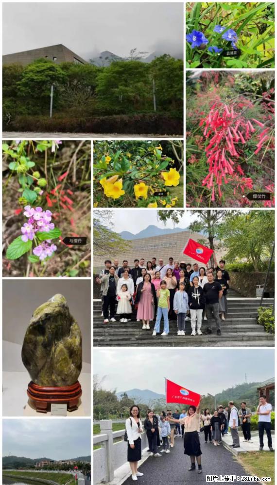 “粤灌文化 美好生活”油茶文化主题活动在广东深圳成功举办 - 铁岭生活资讯 - 铁岭28生活网 tl.28life.net