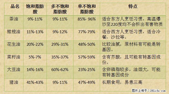 揭秘茶油的5大核心营养成分！被称为人体健康的“守护盾”！ - 铁岭生活资讯 - 铁岭28生活网 tl.28life.net