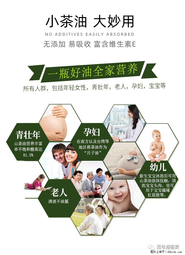 世界没有真相，只有认知，最好的食用油是中国的山茶油！ - 铁岭生活资讯 - 铁岭28生活网 tl.28life.net
