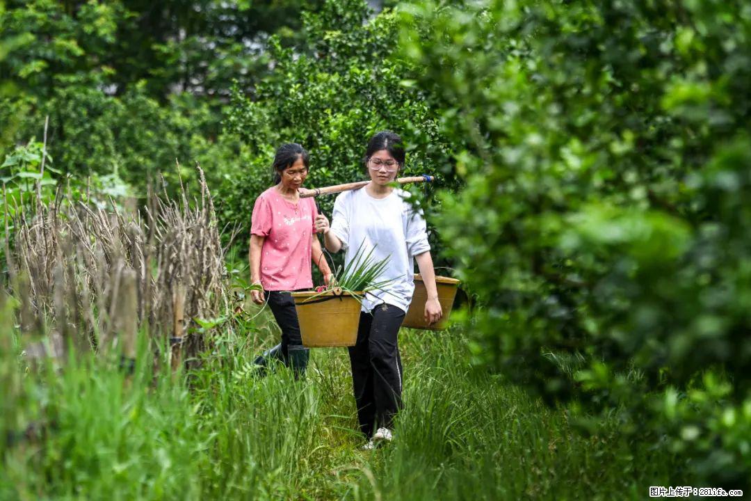 全网追的“扁担女孩”，找了一份暑假工，时薪12元 - 铁岭生活资讯 - 铁岭28生活网 tl.28life.net