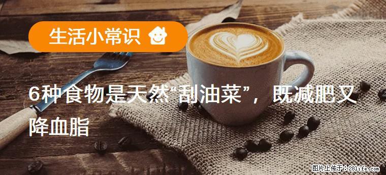 【生活小常识】6种食物是天然“刮油菜”，既减肥又降血脂 - 铁岭生活资讯 - 铁岭28生活网 tl.28life.net