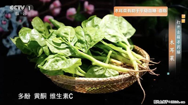 比牛奶补钙还厉害！凉血解毒、稳血糖...这菜冬天必吃，很多人却当草 - 铁岭生活资讯 - 铁岭28生活网 tl.28life.net