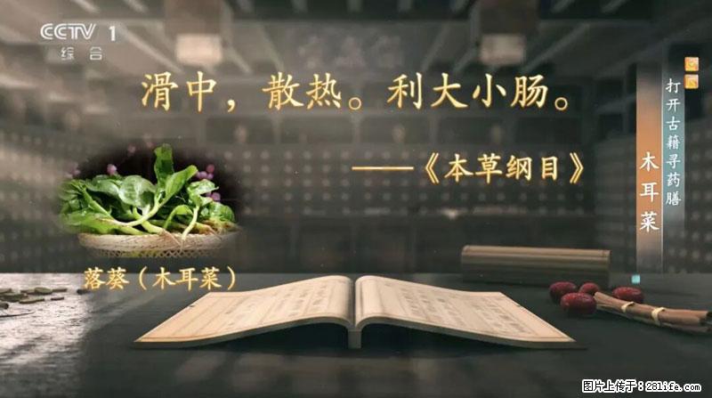 比牛奶补钙还厉害！凉血解毒、稳血糖...这菜冬天必吃，很多人却当草 - 铁岭生活资讯 - 铁岭28生活网 tl.28life.net
