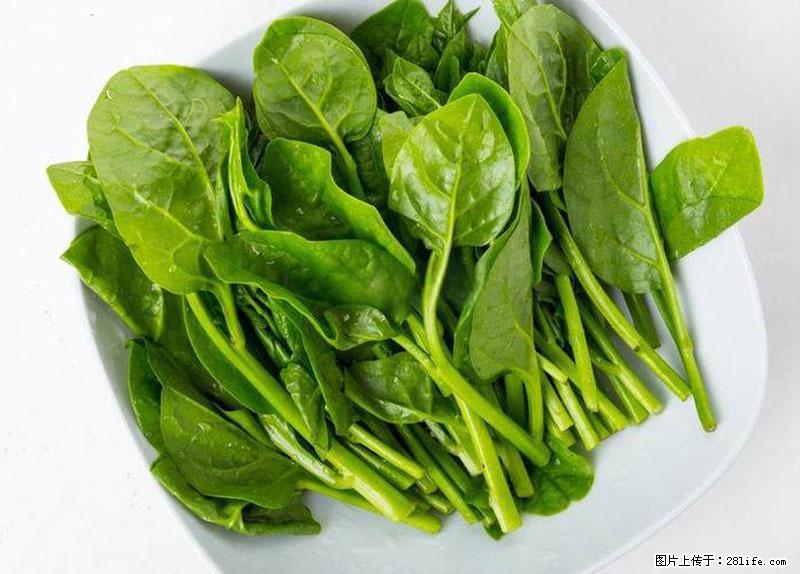 这些蔬菜是“天然钙片”，这6种被医生重点推荐 - 铁岭生活资讯 - 铁岭28生活网 tl.28life.net