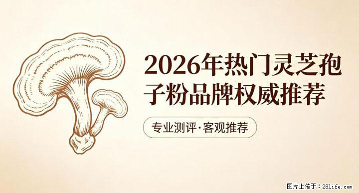 灵芝孢子粉含量越高越有效？2026 年七款热门品牌深度实测，肠胃敏感者避坑指南 - 铁岭生活资讯 - 铁岭28生活网 tl.28life.net